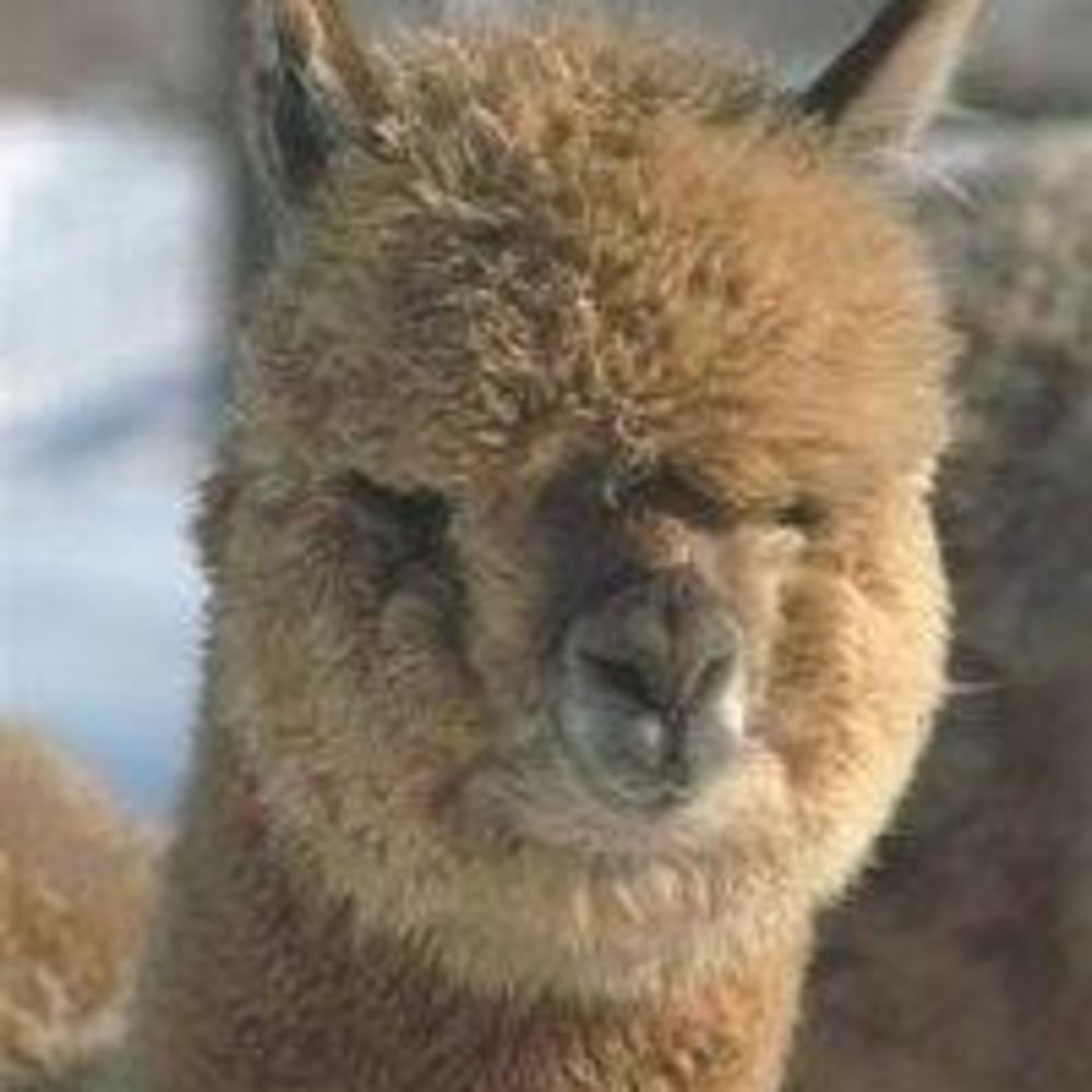 Meet your Posher, Deb